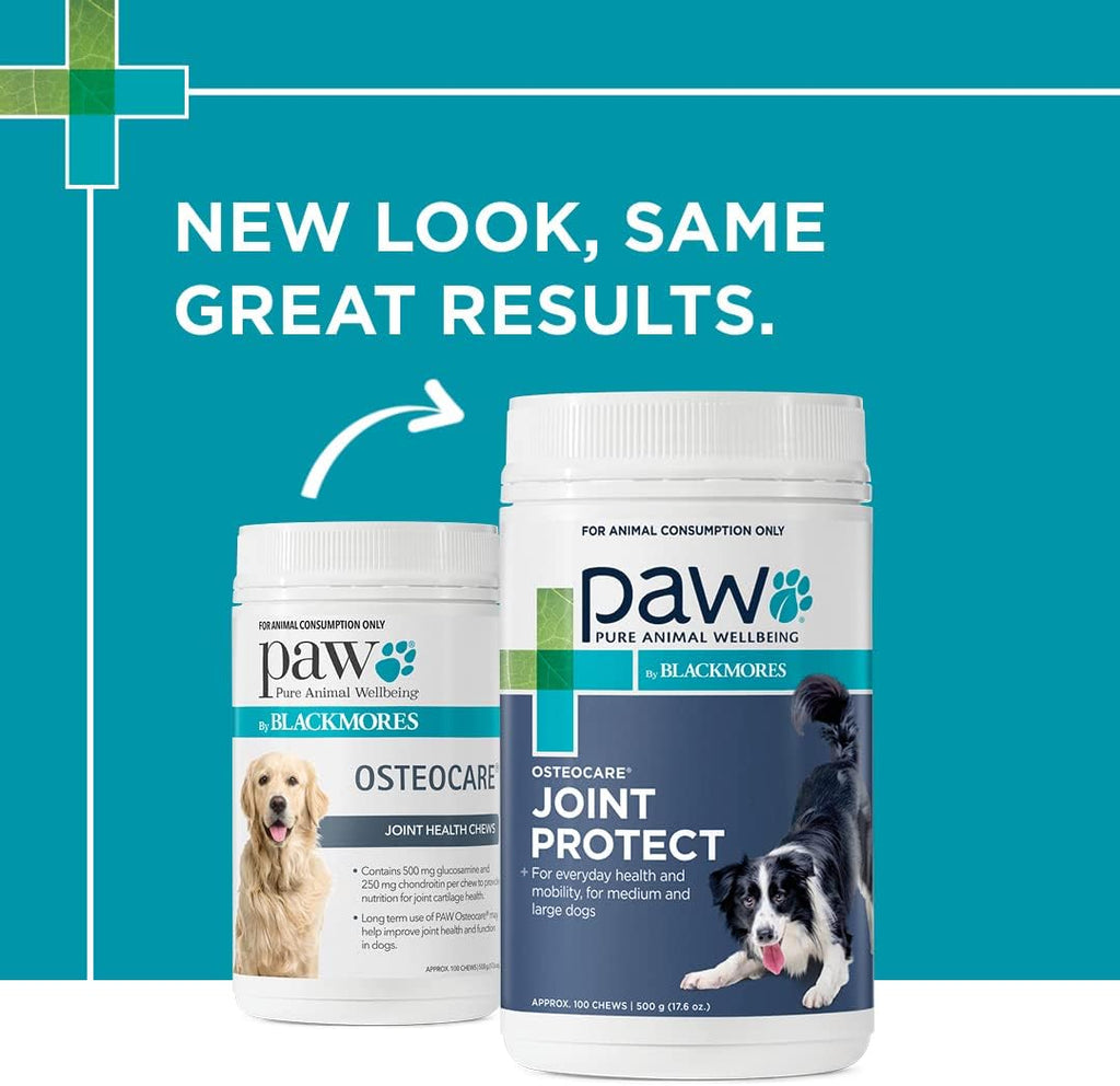 PAW by Blackmores Osteocare® Joint Protect for Dogs | Improves Joint Function & Mobility |100 Chews
