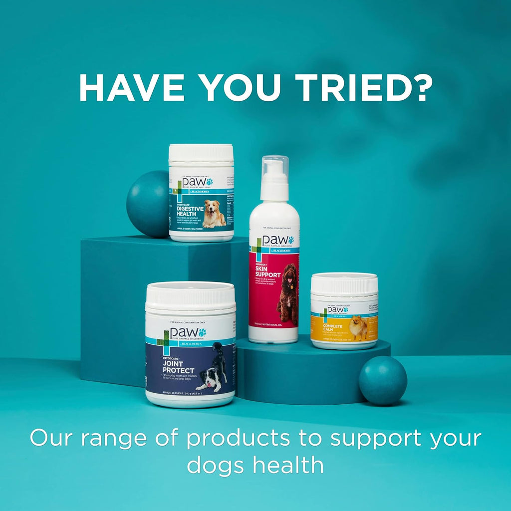 PAW by Blackmores Osteocare® Joint Protect for Dogs | Improves Joint Function & Mobility |100 Chews