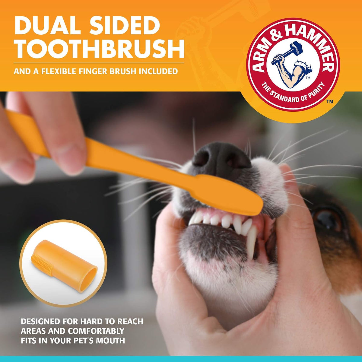 Arm & Hammer Tartar Control Dental Kit for Dogs