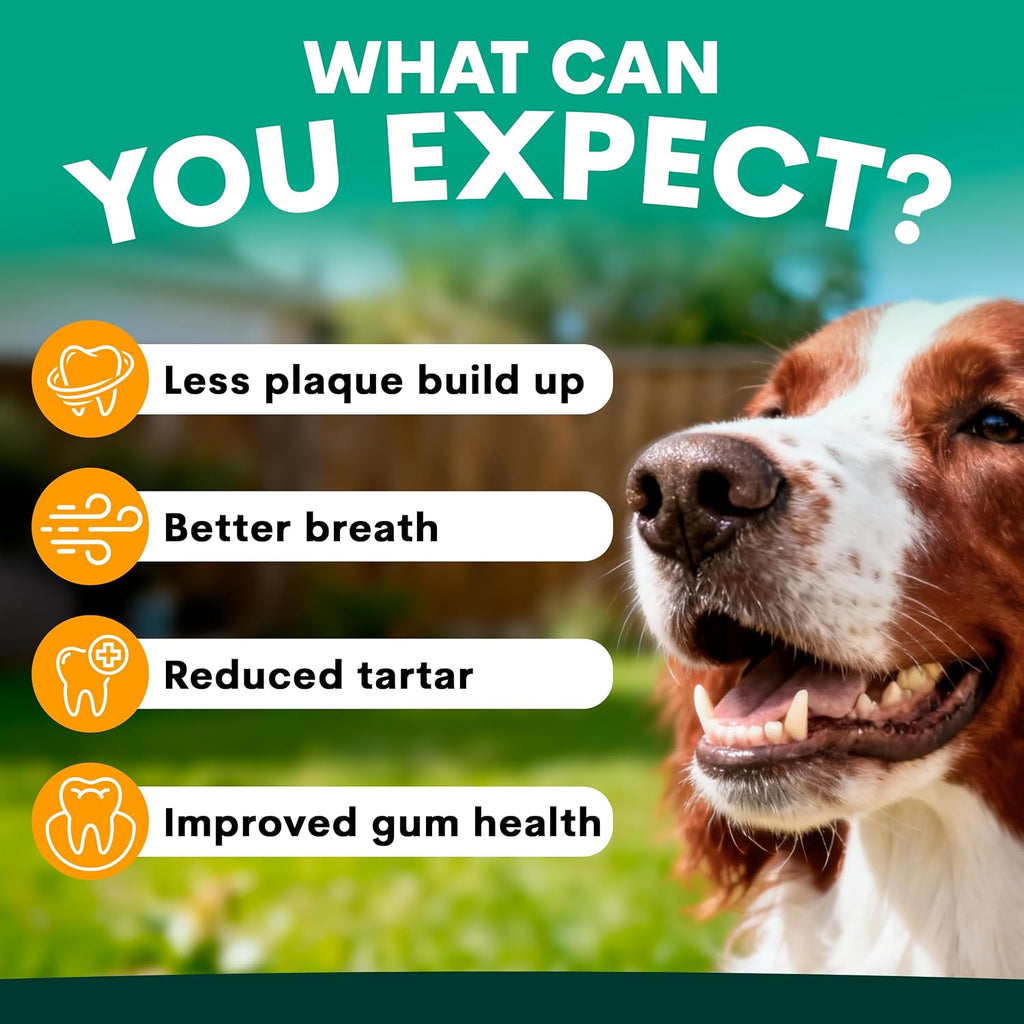 Petz Park Plaque Control Powder for Dogs – 90 Scoops