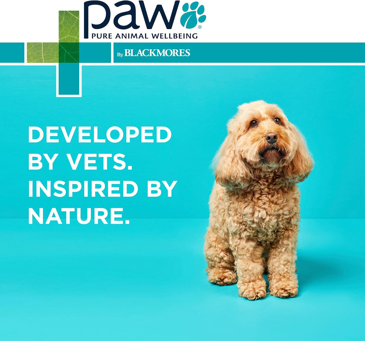 PAW by Blackmores Osteocare® Joint Protect for Dogs | Improves Joint Function & Mobility |100 Chews