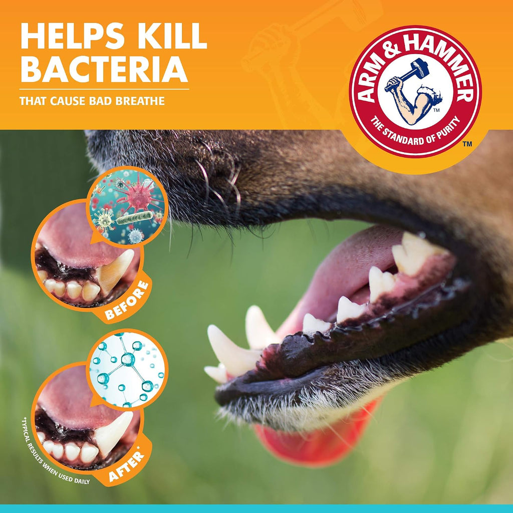 Arm & Hammer Tartar Control Dental Kit for Dogs