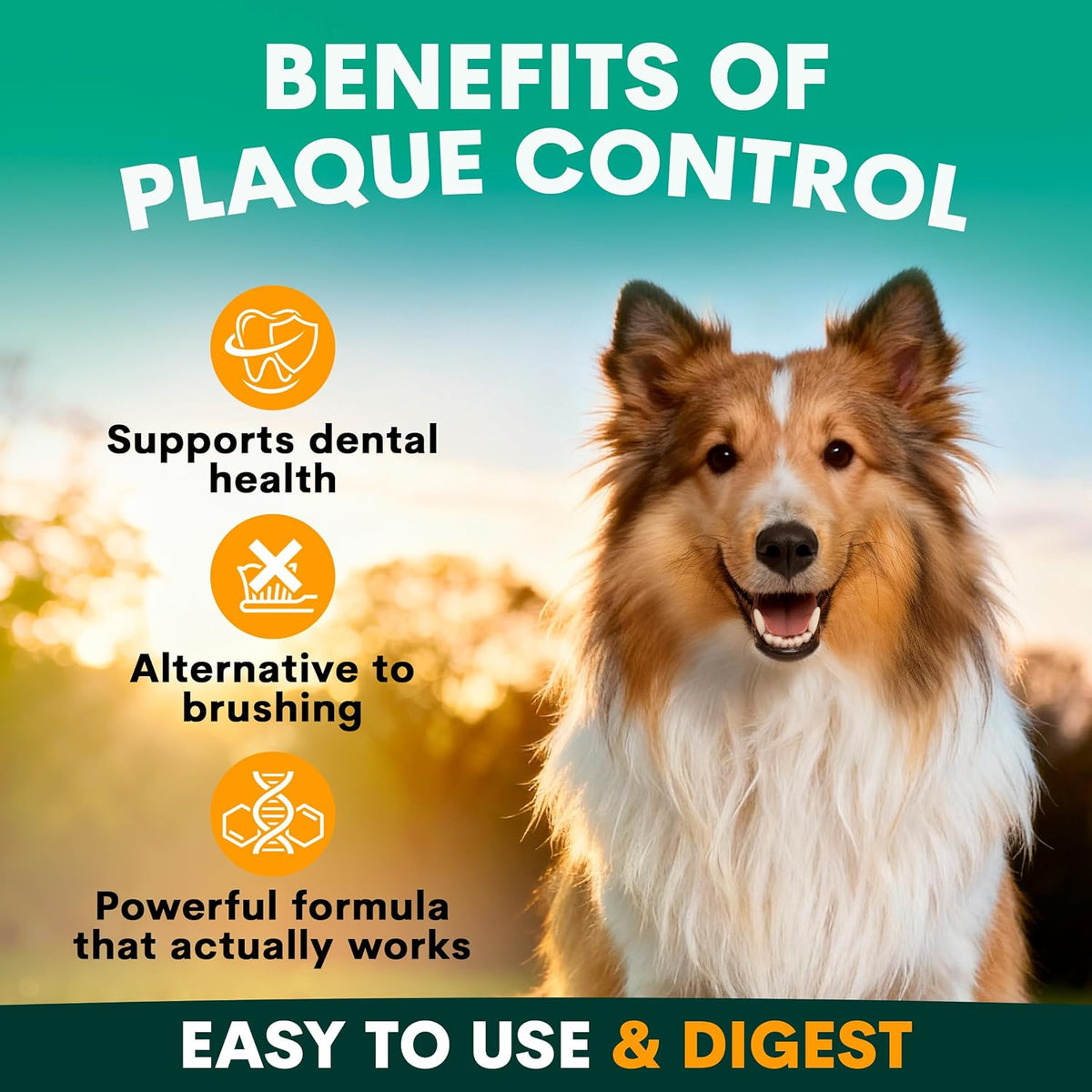 Petz Park Plaque Control Powder for Dogs – 90 Scoops