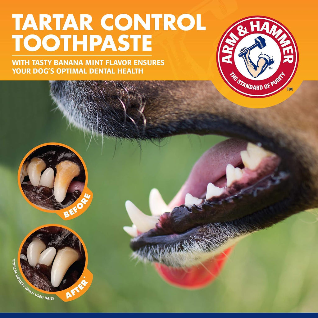 Arm & Hammer Tartar Control Dental Kit for Dogs