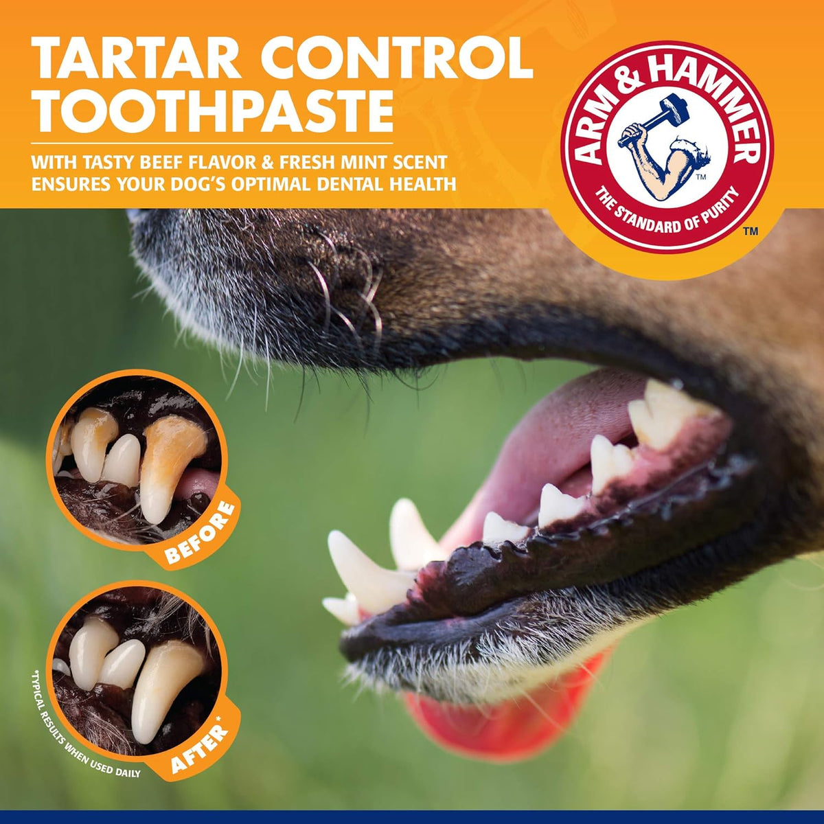 Arm & Hammer Tartar Control Dental Kit for Dogs