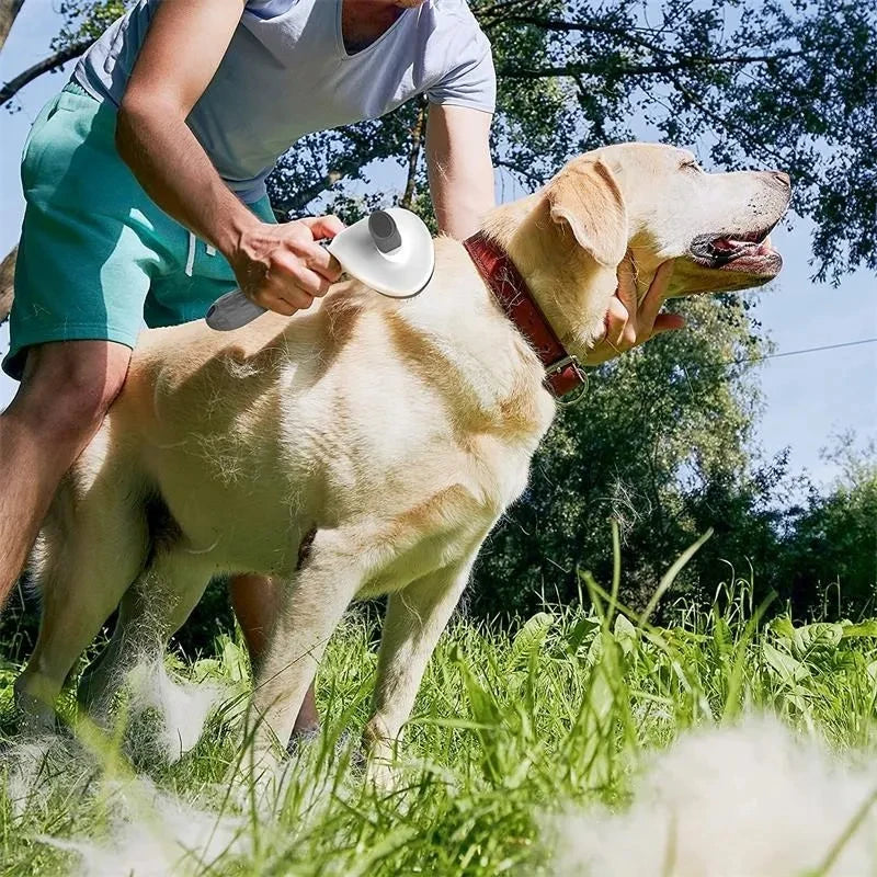 Self-Cleaning Slicker Brush for Dogs & Cats